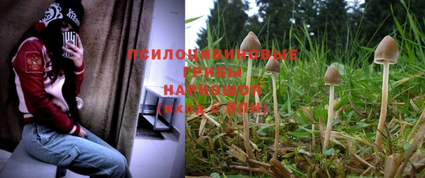 МДМА Надым