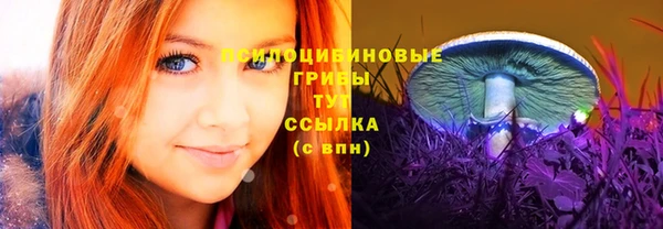 гидропоника Навашино