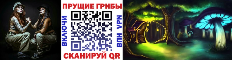 Галлюциногенные грибы Psilocybe  продажа наркотиков  kraken маркетплейс  Печоры 